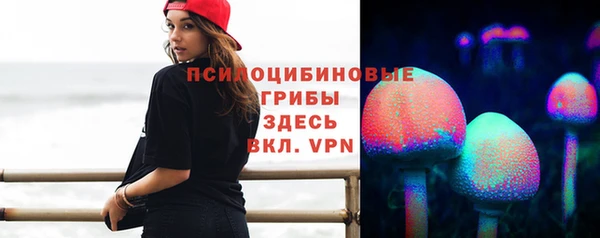 Альфа ПВП Кодинск