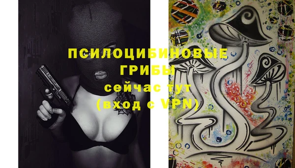 Альфа ПВП Кодинск