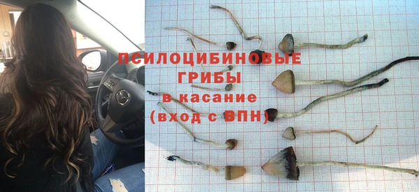 мет Козловка