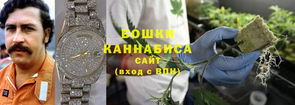 гидра Козельск