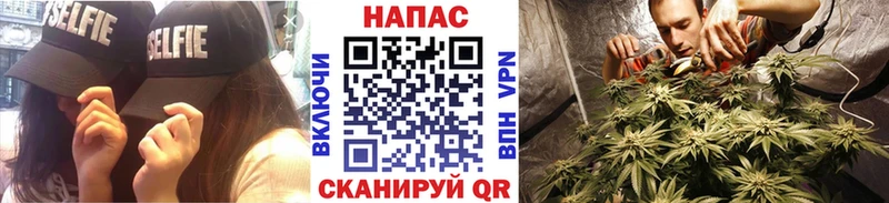 Шишки марихуана план  Купить закладки  Игра 